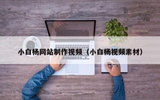 孝感小白杨网站制作视频（小白杨视频素材）