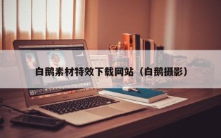 孝感白鹅素材特效下载网站（白鹅摄影）